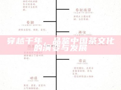 穿越千年，品鉴中国茶文化的演变与发展